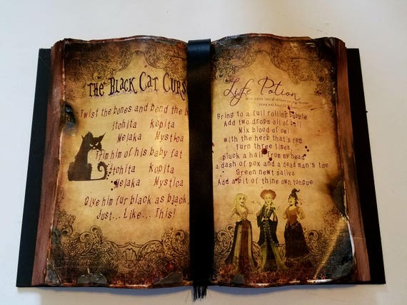 Black Cat Curse and Life Potion Spell Book Hocus Pocus