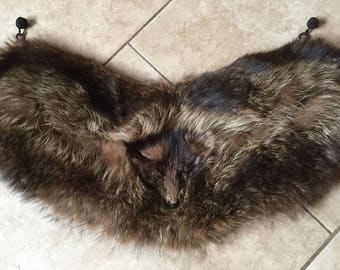 Beautiful Vintage 1940's Raccoon Fur Taxidermy Collar or Stole