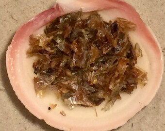 Icelandic Capelin ~ Hermit Crab Food