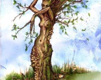 The Elm Maid by Renae Taylor