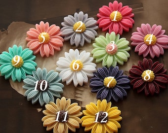 Wholesale Beautiful Mix Colorful Daisy Flower Resin Cabochon - -22mm(CAB-BU-MIXSS )