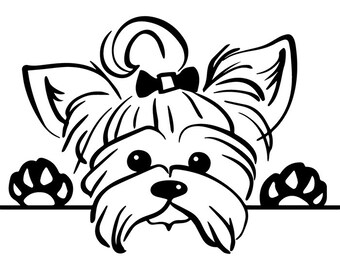 Yorkshire Terrier #4 Puppy Peeking Yorkie Dog Breed K-9 Pedigree Purebred Animal Pet Lap Teacup Logo.SVG .EPS .PNG Vector Cricut Cut Cutting