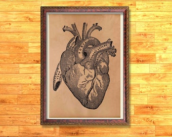 Heart poster Anatomy print Medical decor
