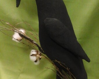 Primitive Crow
