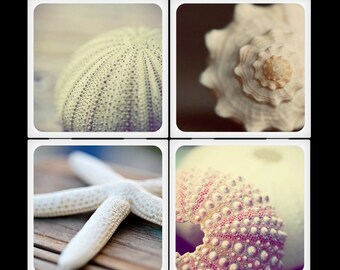 Amelia Kay Photography - Beauty of Sealife Ceramic Coaster Set