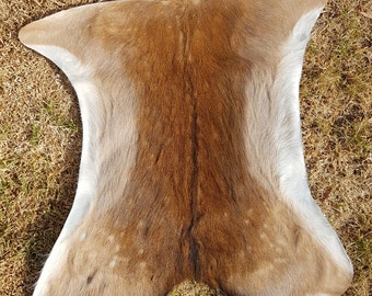 Real Fallow deer skin rug
