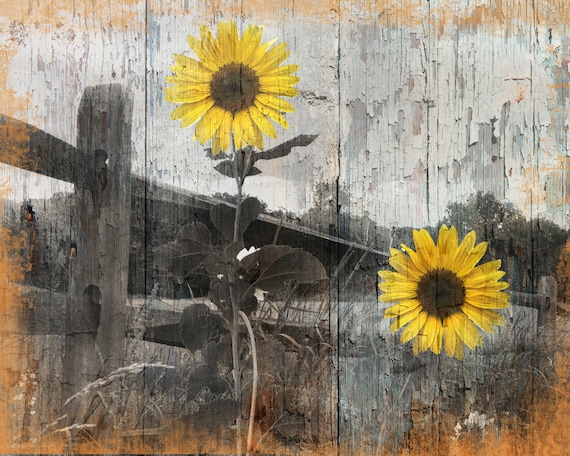 inch 2 frame mat Decor Sunflower Country Wall Art Theme Home Rustic Farmhouse