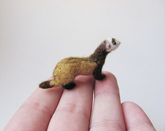 Miniature ferret