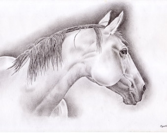 Horse portrait-Original-Graphite pencil drawing-Horse drawing-Horse art-Horse decor