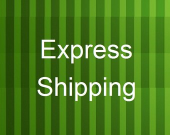 Buy Express International Shipping 7- days delivery by Speed post Ems