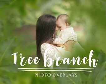 30 Tree branch photo overlays, photoshop overlays, png overlays, summer overlays, spring overlays