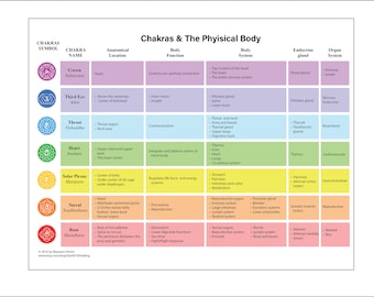 LAMINATED Chart Chakras and the Physical Human Body Anatomy Reiki Energy Healing