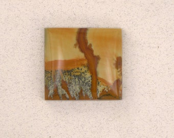 Owyhee picture Jasper #1161