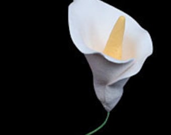 Elegant Gumpaste Calla Lily Flower Simply Beautiful