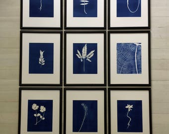 Set of 9 Botanicals, Framed Botanicals, blue botanical prints, Set of 9 framed, Real fern, real botanicals, handmade botanicals, Blue prints