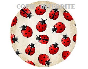 25mm cabochon ladybirds (small)