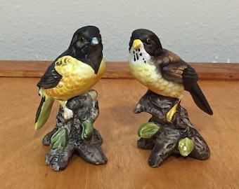 Set of Two - Garden Song Birds Figurine - UCTCI Japan