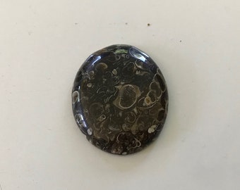 Turritella Agate Handmade Cabochon, Fossil