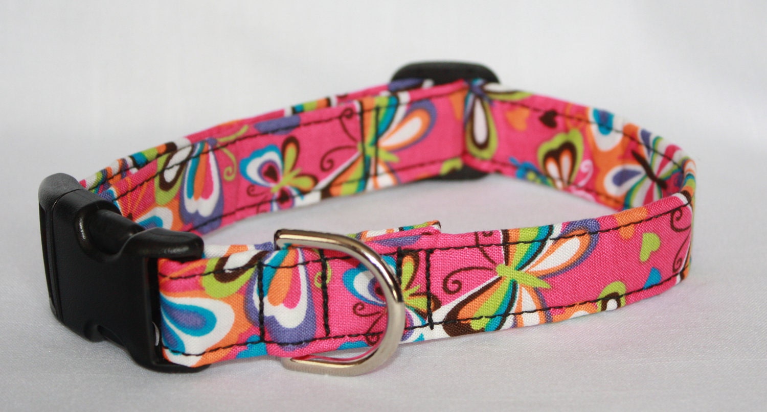 Dog Collar Bright Butterflies Spring Time/Easter Adjustable