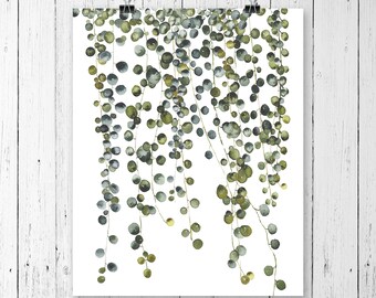 Pearl plant print, Botanical print set, Succulent print, Wall art, Wall decor, Botanical print, Botanical art, prints, Botanical wall art