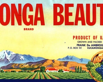 Original vintage grape crate label Cucamonga Beauty Scarce San Bernardino California