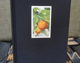 Orange Journal - Large Lined