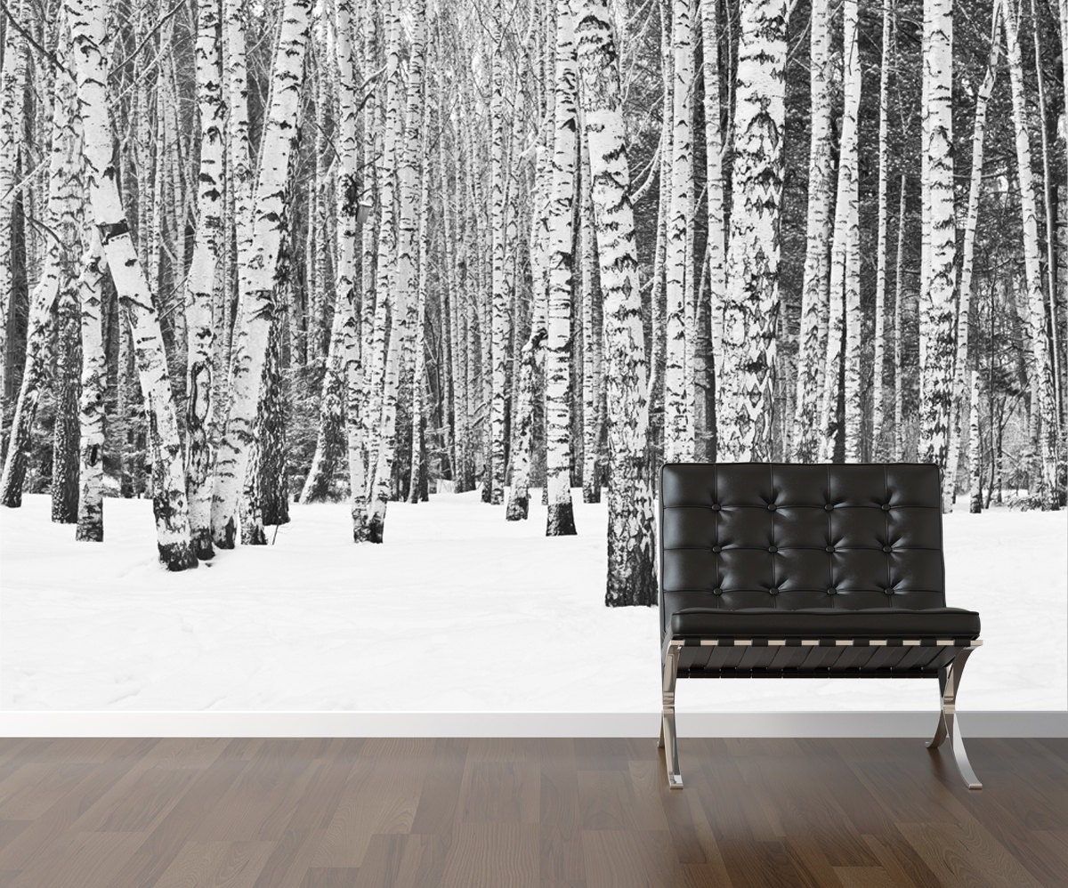 Birch tree wallpaper repositionable peel & stick wall paper