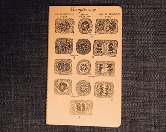 Karyokinesis: Cell Division Moleskine Notebook