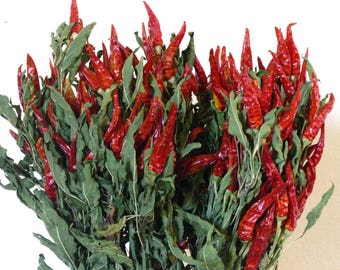 Dried Red Chili Peppers