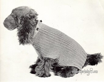 Vintage dog sweater knitting pattern in PDF instant download version , PDF downloadable