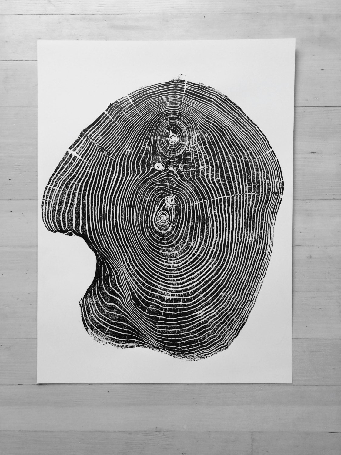 Mulberry Tree ring Print, Tree ring art print, Woodcut, real tree rings, Woodcut print, Tree