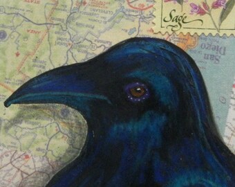 Sage Raven Crow Original ACEO