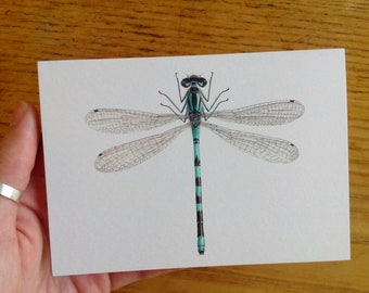 Northern Damselfly greetings card