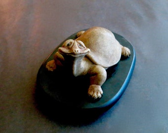 WISDOM TORTISE From The FUTURE Only Looks Like Dopey