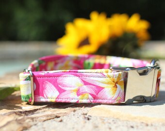 Hawaiian Flowers Collar | Floral Dog Collar | Female Dog Collar | Fabric Dog Collar | Pet Collar | Girl Dog Collar | Small Dog Collar