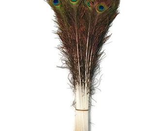 25 Pcs Natural PEACOCK Feathers 30"-35" (Big EYES)