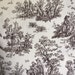 Toile Fabric 3 yards