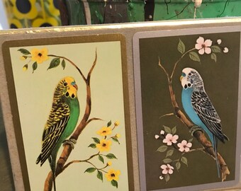 Vintage empty budgie card box