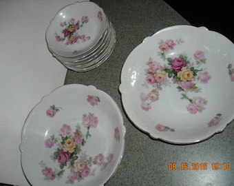 PORCELAIN SERVING BOWLS set of 10