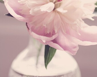 Peony Still Life #2 - 5 x 7 Fine Art Photograph