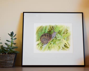 Snailed it! - Garden Snail Gouache Painting - Framed - Original