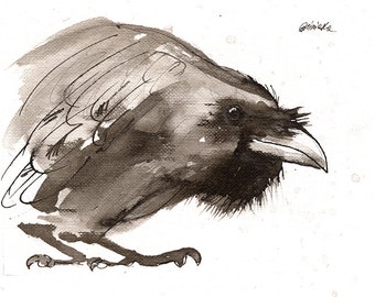 Raven, crow, original ink painting on paper, in wood frame