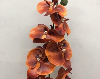 34" Phalaenopsis Orchid stem