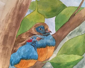 a couple of colorful birds, original watercolor painting