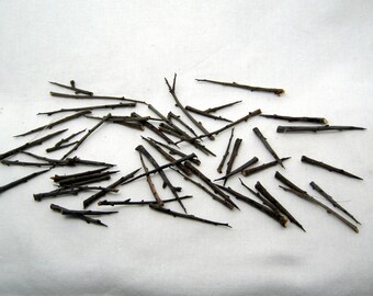Witchcraft spells supply witch pagan altar for magic protection talisman and occult wicca Spells 50 Blackthorn Thorns