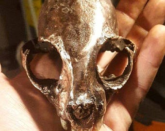 Handmade copper / real skull / bobcat skull / post apocalyptic / crust punk / witchy / witchcraft / punk gift / occult / goth / oddities