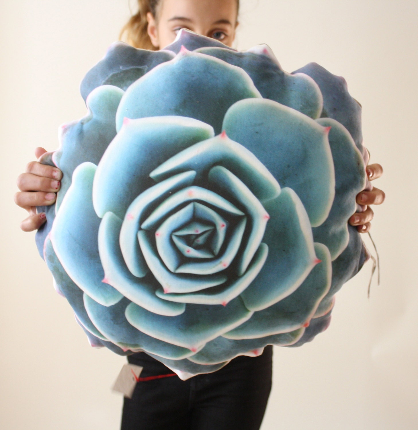 stuffed succulent pillow