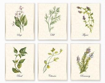 Botanical Print, Botanical Print Sets, Herb Prints, Herb Printables, Botanical Wall Art, Botanical Decor, Herb Wall Art, Botanical Set of 6
