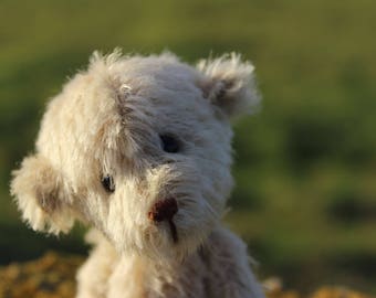 Little 'Syrup', Mohair Artist Bear, Handmade in Orkney, Scotland
