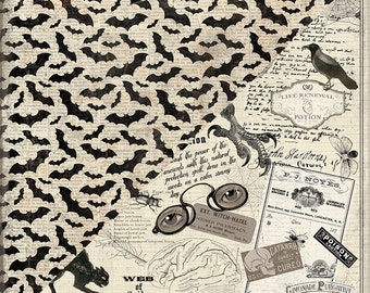 Authentique Mysterious Four Scrapbook Paper, 2 pcs.